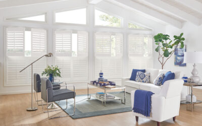 Shutter Styles Unveiled!