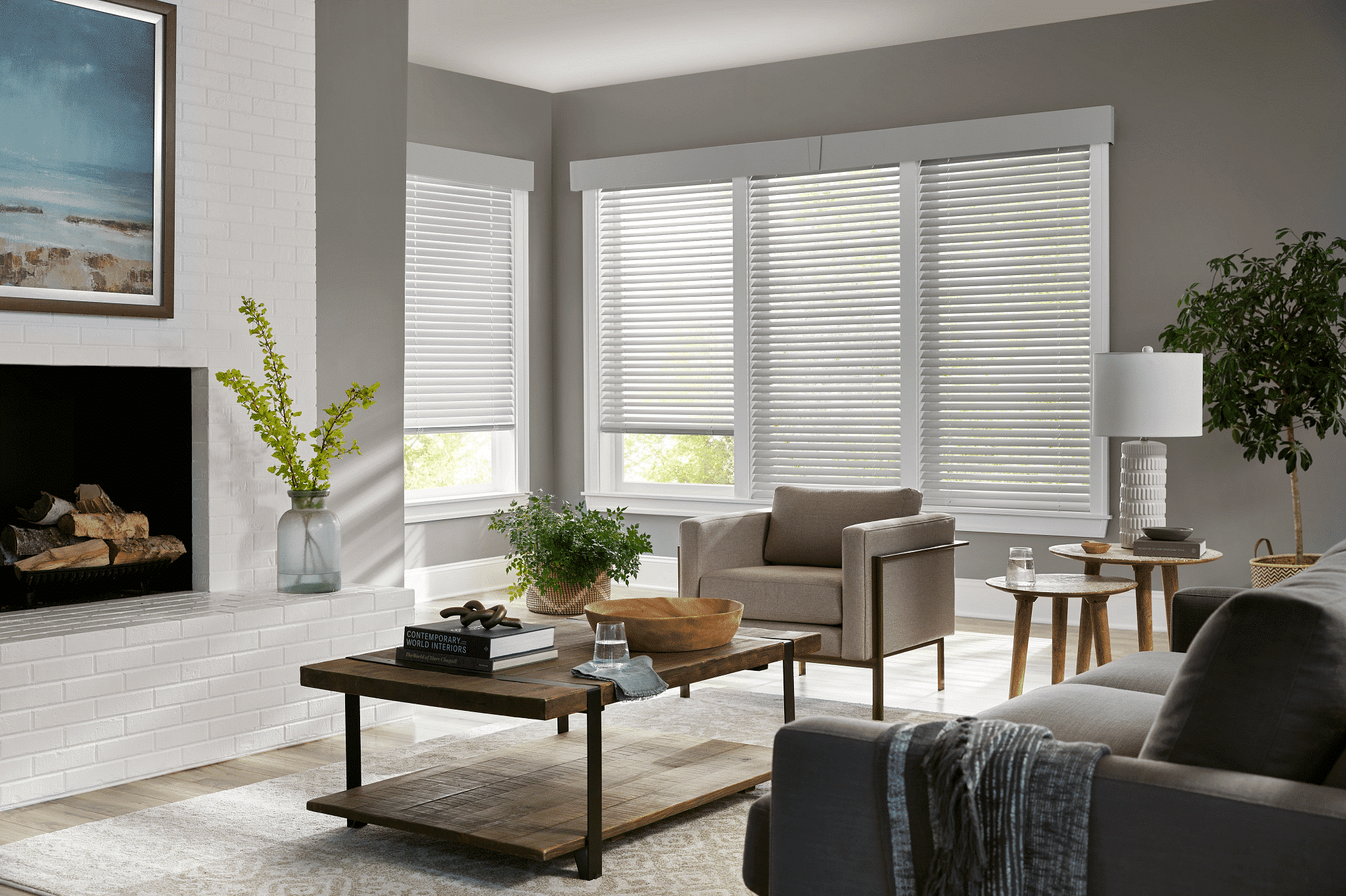 Wood Blinds Living Room 1024x683 1