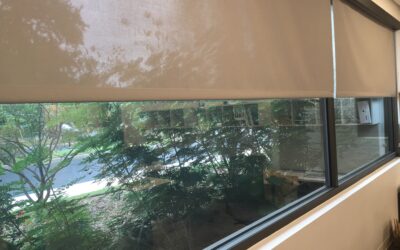 Modern Shade Solutions for Commercial Interiors