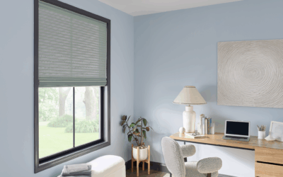 Natural Window Treatments for Offices