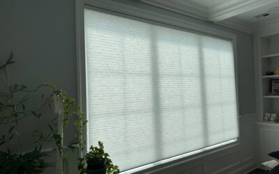 Cellular vs Roller Shades: Which Is Right for Your New Jersey Home?
